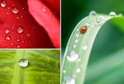 什么是超疏水納米涂層材料？超疏水材料介紹